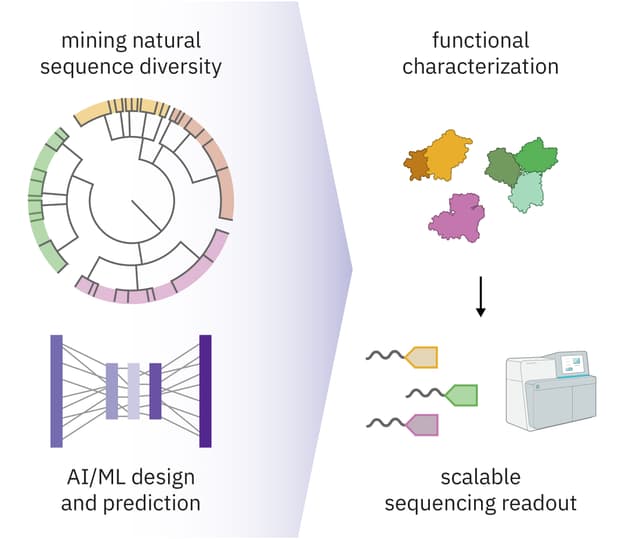 Discovering biotechnology