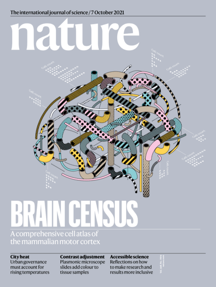 Epigenomic diversity of cortical projection neurons in the mouse brain